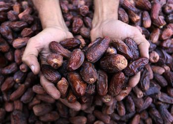 5 yılda 175 milyon dolarlık hurma ithal edildi