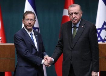 Cumhurbaşkanı Erdoğan, Herzog ile görüştü