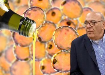 Ezber bozan kolesterol-zeytinyağı gerçeği! Prof. Dr. Yörükoğlu: Yağlanmayı bitiren 3 yöntem var