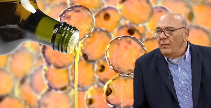Ezber bozan kolesterol-zeytinyağı gerçeği! Prof. Dr. Yörükoğlu: Yağlanmayı bitiren 3 yöntem var