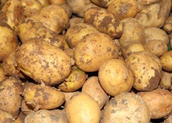 Flaş açıklama! 1.5 liraya kadar…