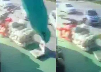 Şimdi de Erzurum! ‘Şemsiye ile uçan adam’a bir yenisi daha eklendi