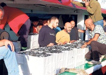 Halde hamsi kılçığı! Balıkçıyla toptancı karşı karşıya