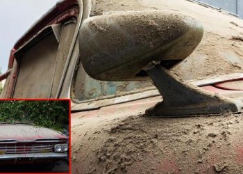 Her yeri toz içinde garajdan çıkarıldı! 15 yıl sonra ilk kez çalıştı: 1 milyon TL masrafı var